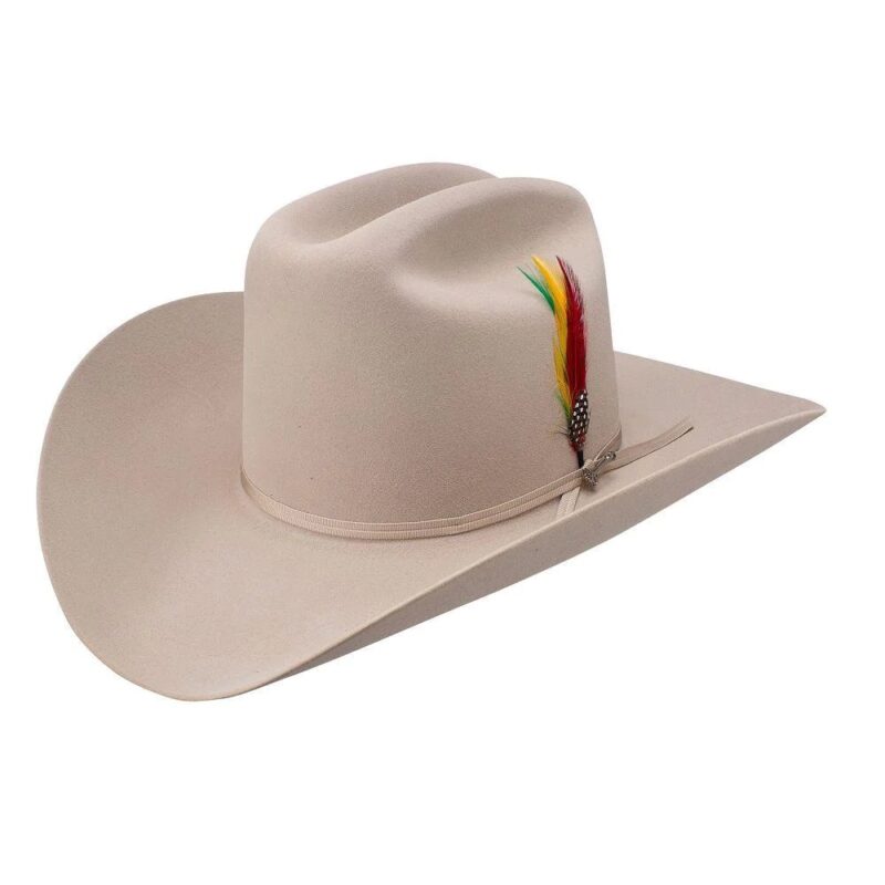 Stetson 6X Rancher Silverbelly Felt Cowboy Hat SFRNCH-0140