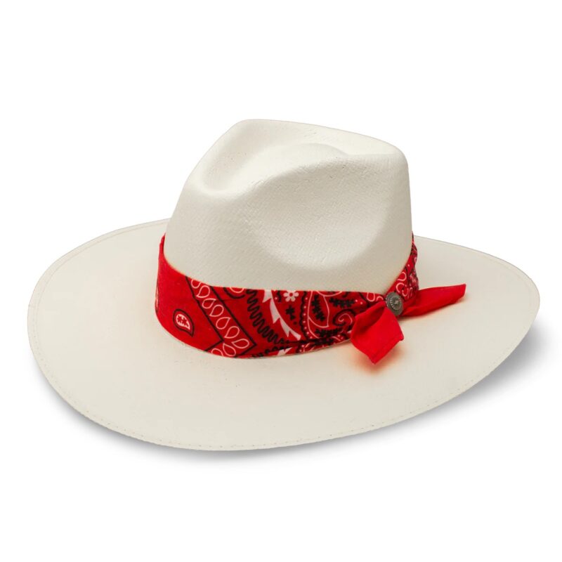 Charlie 1 Horse Dreamcatcher Lainey Wilson Collection Fashion Straw Hat CSDRCA-103481
