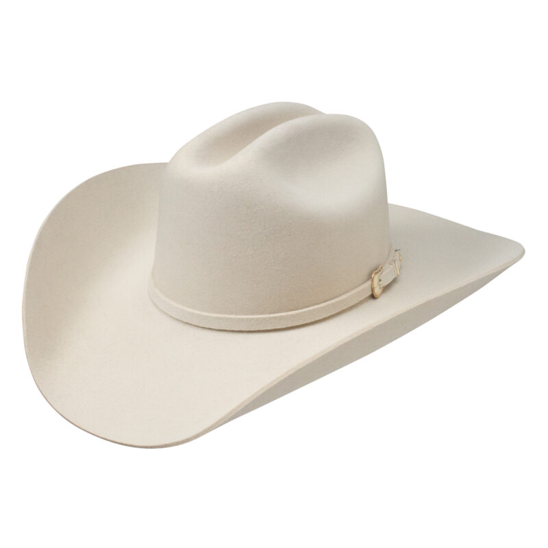 Stetson 3X Oak Ridge Bone Wool Felt Cowboy Hat SWOAKR-724074