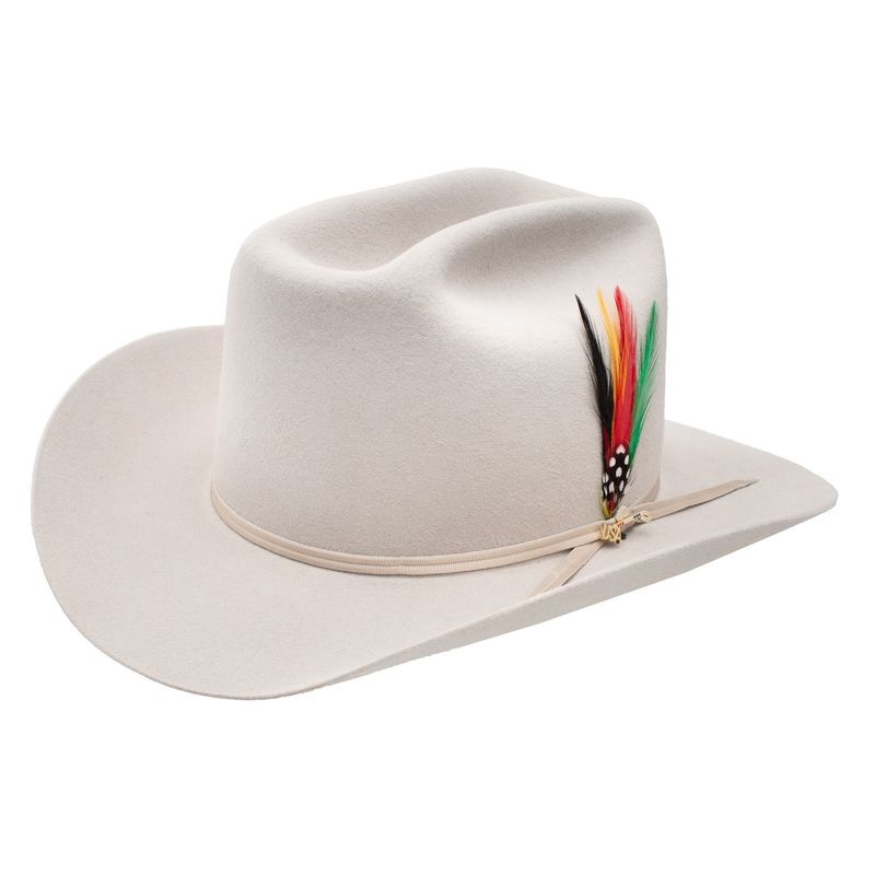 Stetson 250th Range Silverbelly Cowboy Hat SFR250-113061